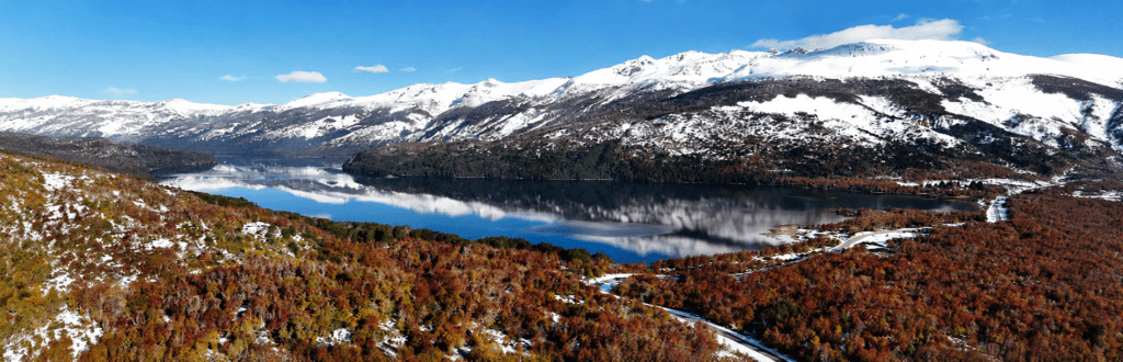 Ruta de los Siete Lagos rodeada de bosque patagónico